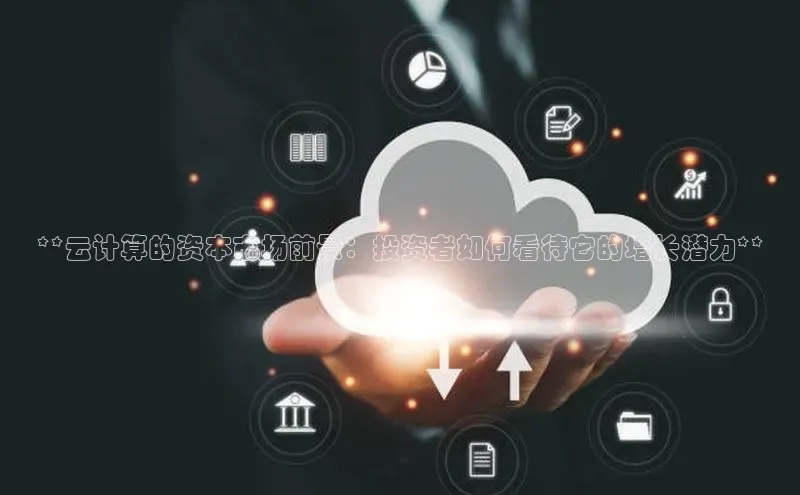 加拿大28圈下载美团**云计算的资本市场前景：投资者如何看待它的增长潜力**