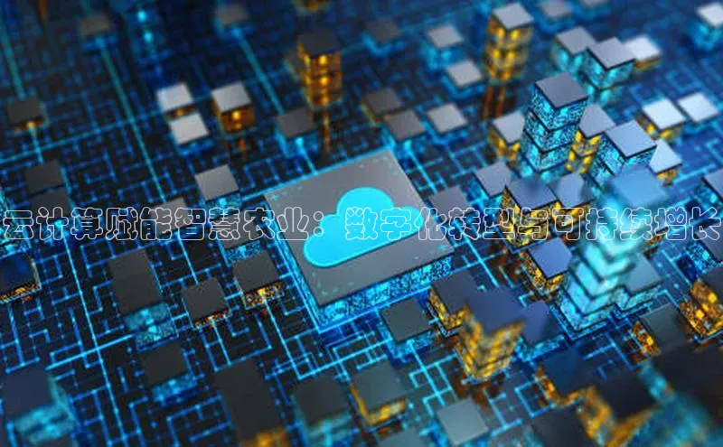 28电子游戏官方网站百度搜索资源平台云计算赋能智慧农业：数字化转型与可持续增长