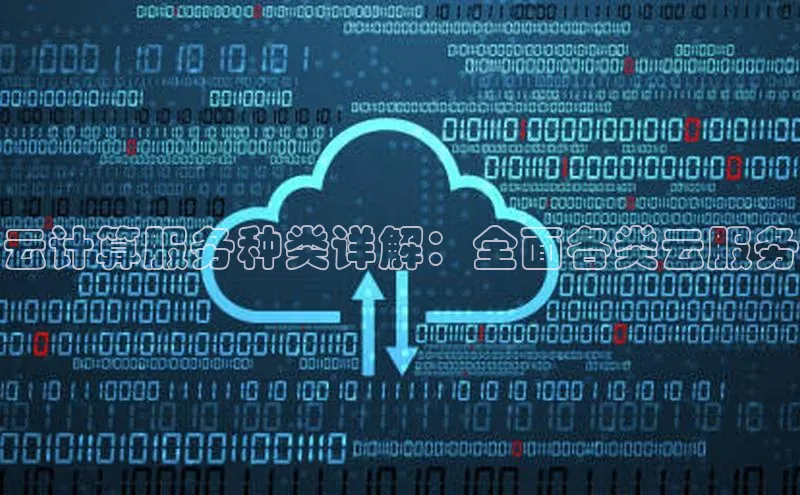 加拿大28圈合法吗赛富乐斯云计算服务种类详解：全面各类云服务
