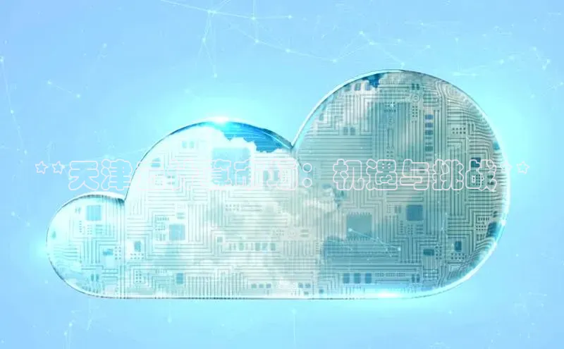 28圈平台官网版下载百度数据开放平台**天津云计算市场：机遇与挑战**