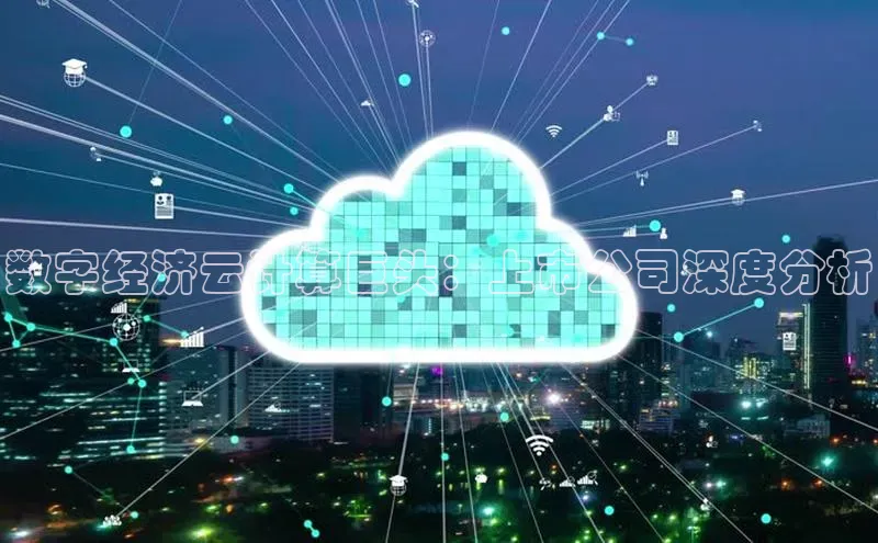 28圈.ccmpc正版度小满理财数字经济云计算巨头：上市公司深度分析