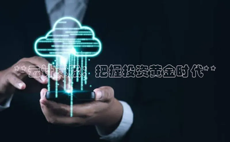 加拿大2.8平台下载华扬联众**云计算股：把握投资黄金时代**