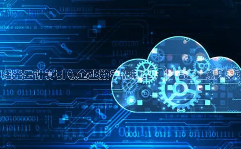 28电子游戏官方网站百度搜索资源平台曙光云计算引领企业数字化转型，打造云上新未来