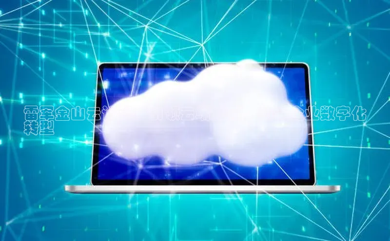 28圈平台链接观星盘雷军金山云计算：引领云端变革，加速企业数字化
转型