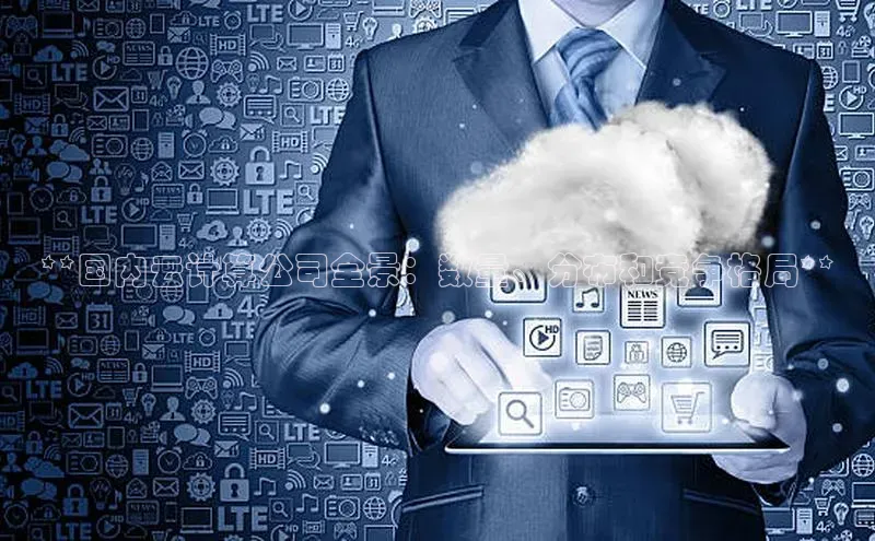 加拿大28圈app官网开奖结果百度网盘**国内云计算公司全景：数量、分布和竞争格局**