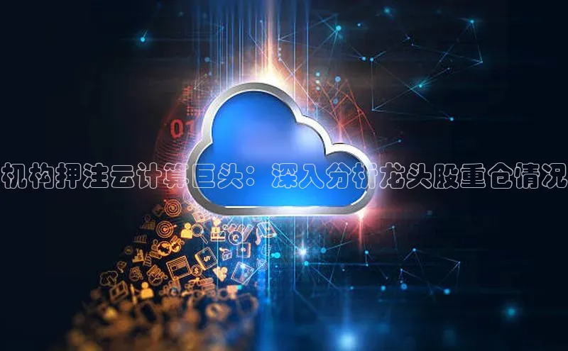 加拿大NG28娱乐软件同程机构押注云计算巨头：深入分析龙头股重仓情况
