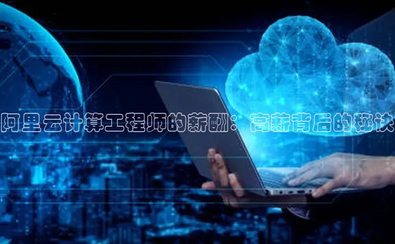 加拿大28圈下载美团阿里云计算工程师的薪酬：高薪背后的秘诀