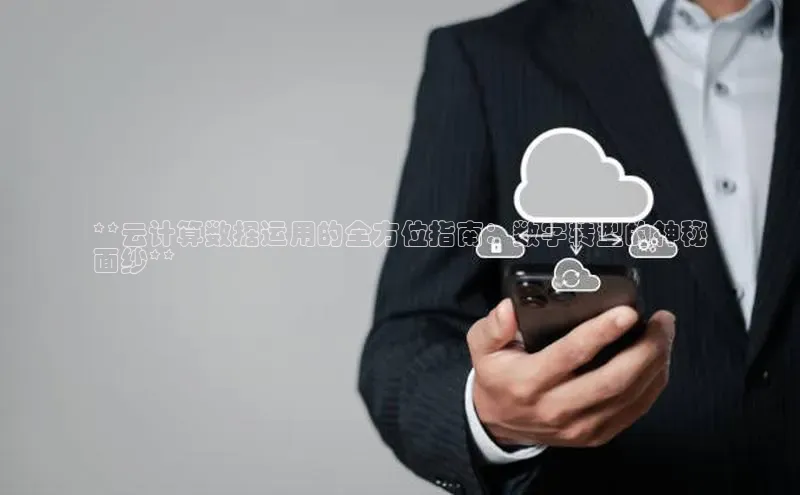 pc28圈下载路畅科技**云计算数据运用的全方位指南：数字转型的神秘
面纱**